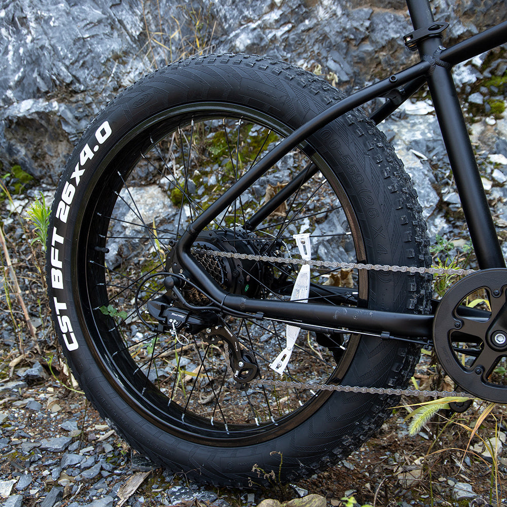 Adventure Further: SIVROCK V1 Powerful Electric Fat Tire Mountain Bike