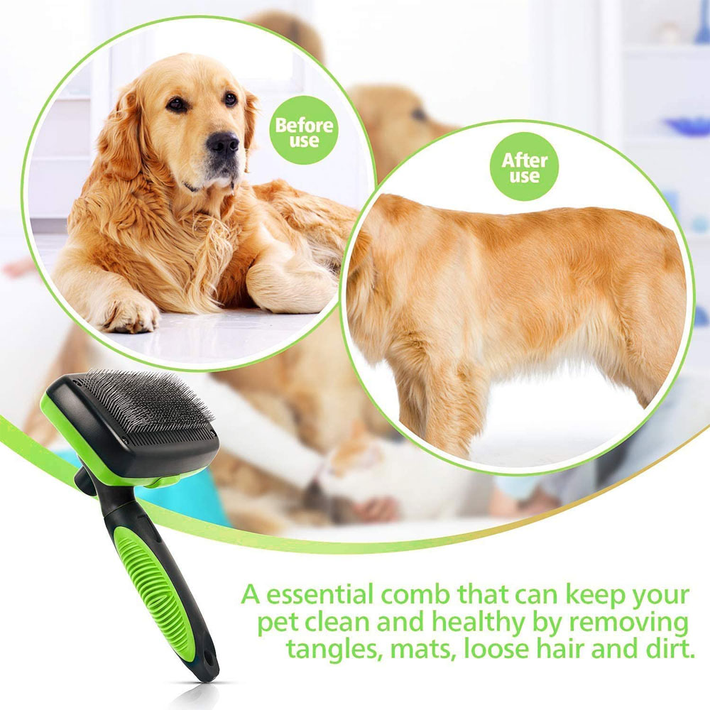 Cleaning Dog Brush